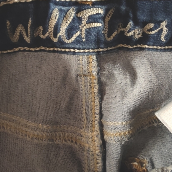 Wallflower - Picture 3 of 4